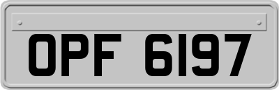 OPF6197