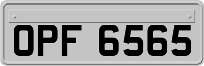 OPF6565
