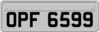 OPF6599