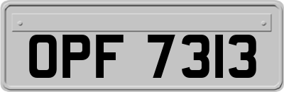 OPF7313