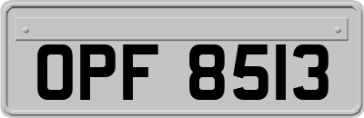 OPF8513