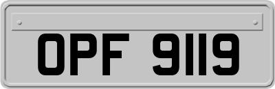 OPF9119