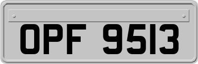 OPF9513