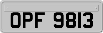 OPF9813