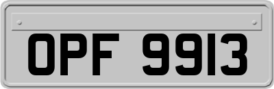 OPF9913