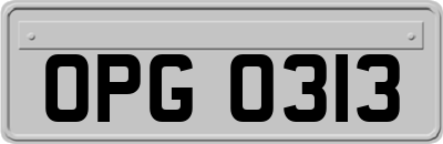 OPG0313