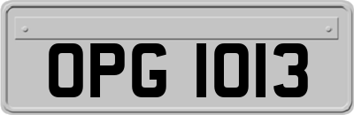 OPG1013