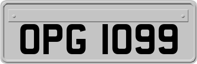 OPG1099