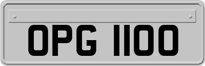 OPG1100