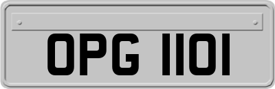 OPG1101