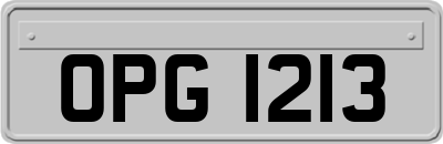 OPG1213