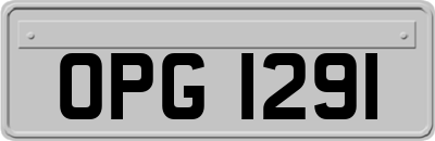 OPG1291