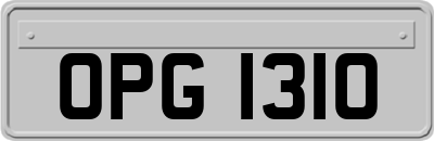 OPG1310