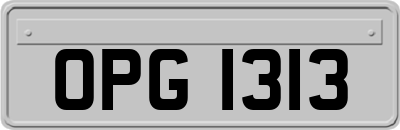 OPG1313