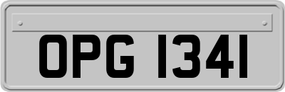 OPG1341