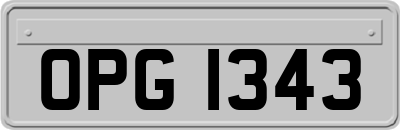 OPG1343