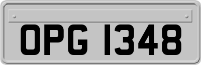 OPG1348