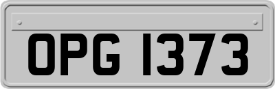 OPG1373