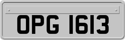 OPG1613