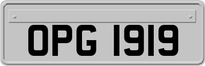 OPG1919
