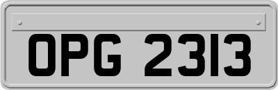 OPG2313