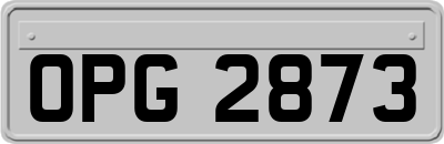 OPG2873