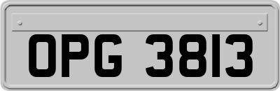 OPG3813