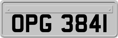 OPG3841