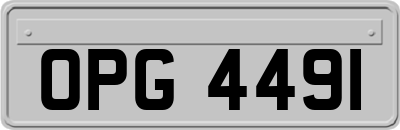 OPG4491