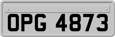 OPG4873