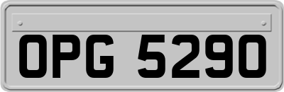 OPG5290