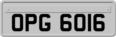 OPG6016