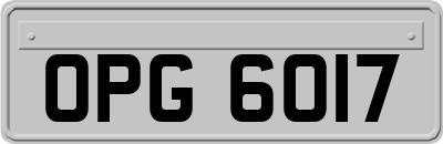 OPG6017