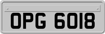 OPG6018