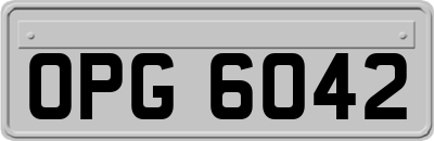 OPG6042