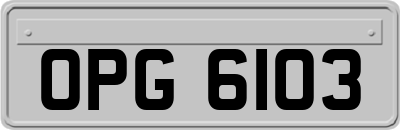 OPG6103