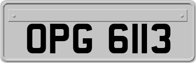 OPG6113