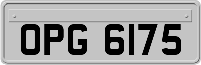 OPG6175
