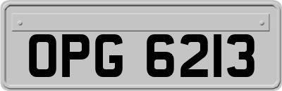 OPG6213