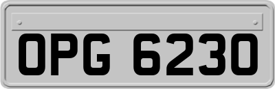 OPG6230