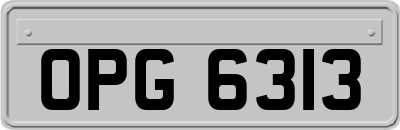 OPG6313