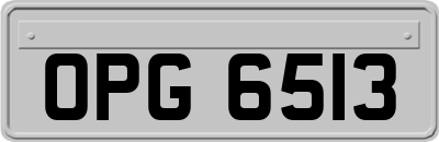 OPG6513