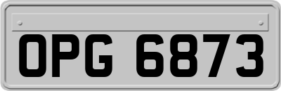 OPG6873
