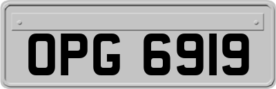OPG6919
