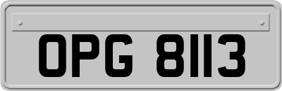 OPG8113