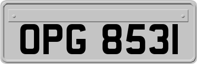 OPG8531