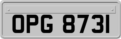 OPG8731