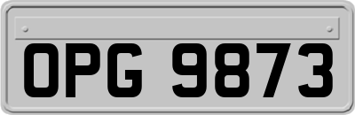 OPG9873