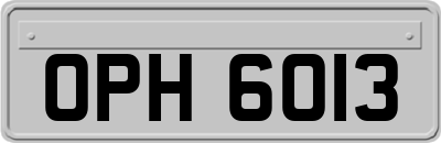 OPH6013