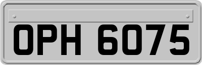 OPH6075